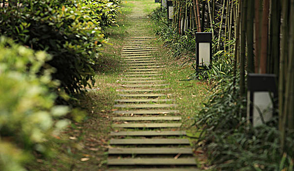 du doan bach thu