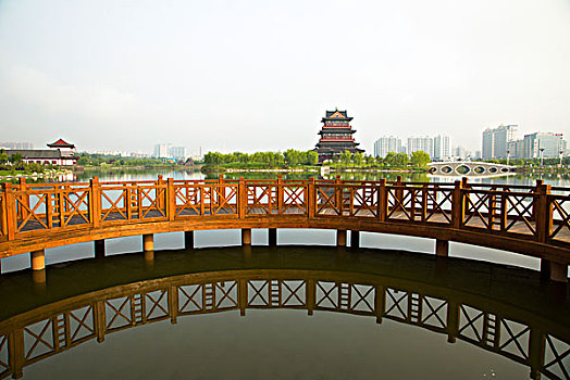 rong vang bach kim xsmb