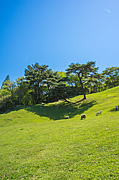 bạch thủ lô khung 3 ngày