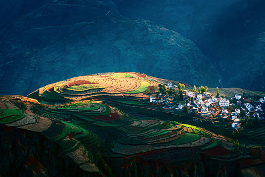 lô ba càng