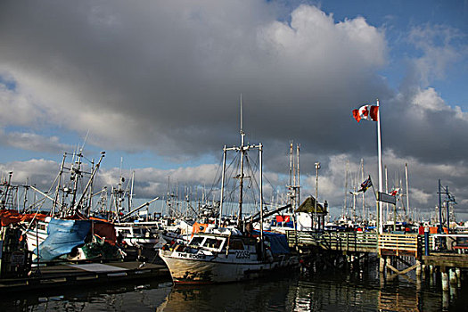 quay thử miền bắc