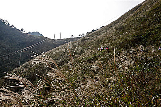 dự đoán hôm nay