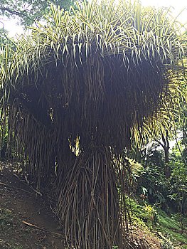 số đẹp miền bắc hôm nay