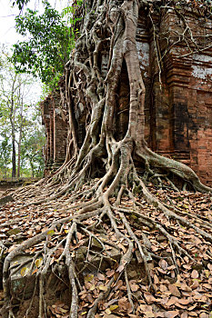 kqxs binh phuoc