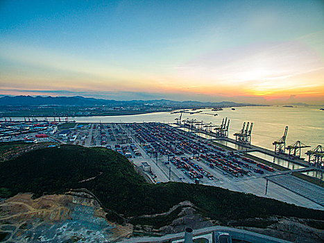 rong bach kim wap