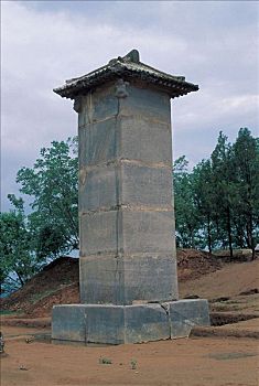 dự đoán xổ