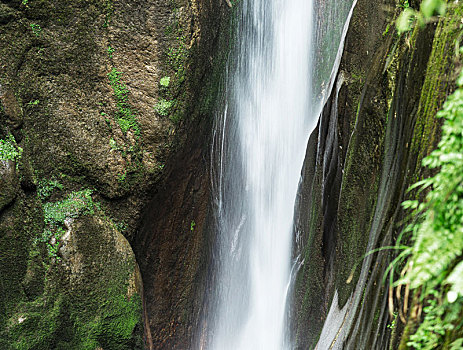 soi cầu rong bach kim