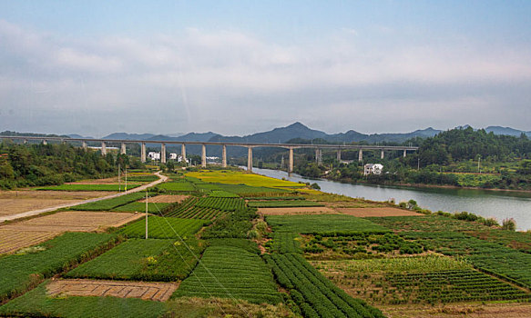 chốt so gio vang
