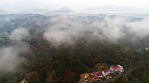 bach thu khung 3 ngay chinh xac
