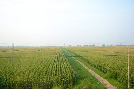 dàn đề ngày hôm nay