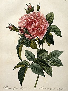 thống kê xổ số quảng ngãi