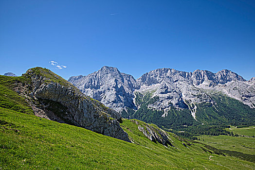 soi cau rong bach kim mb