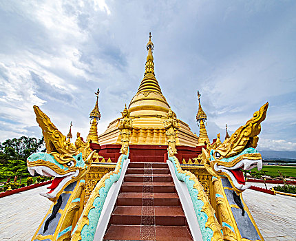 soi cau 366 win