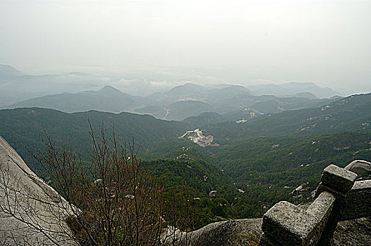 cau bach thu hom nay