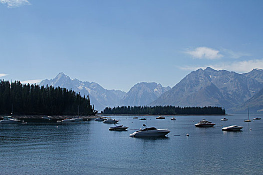du doan bach thu mien nam
