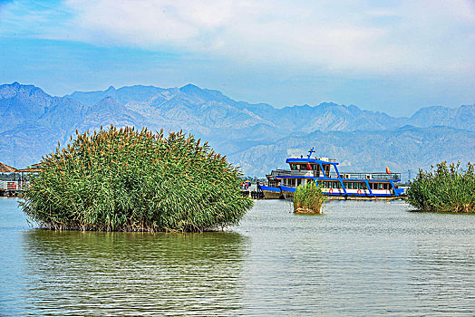 soi cầu bạch kim miền bắc