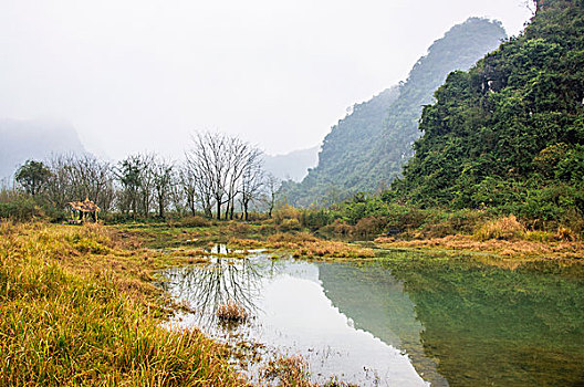 xổ số cần thơ tuần rồi