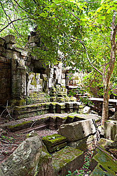 thong ke soi cau bach thu hom nay