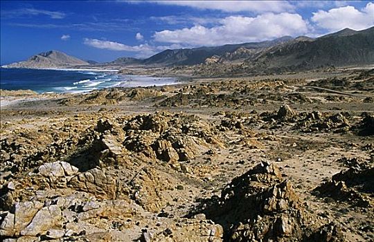 lô bạch thủ hôm nay