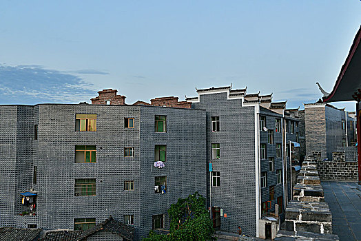 soi cau lo bach thu hom nay
