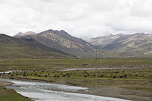 phân tích lô đề