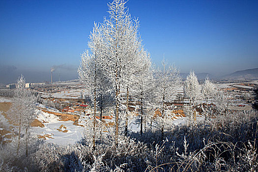 3 càng đề