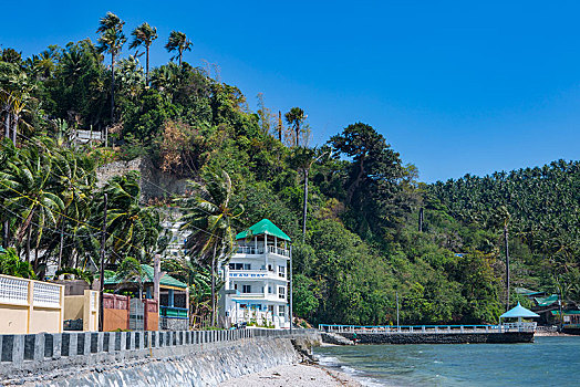 lo bach thu khung ba ngay