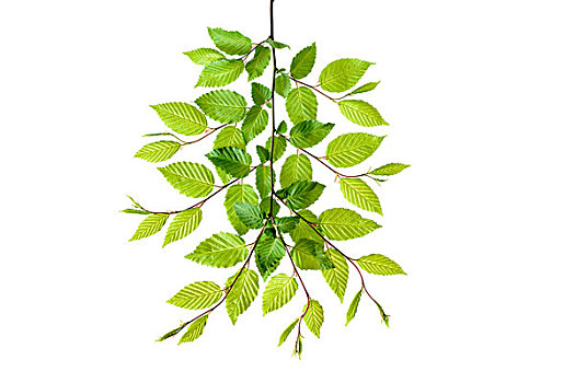 kết quả xổ số hôm nay miền bắc