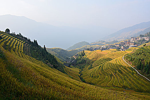 cách chơi 3 càng lô