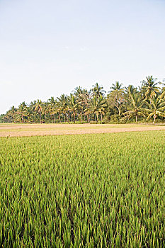 xổ số miền nam trong tuần