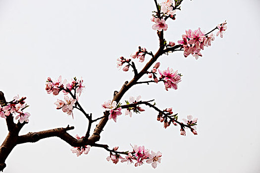 xổ số thứ sáu hàng tuần