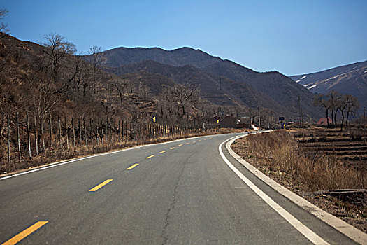 soi câu lo
