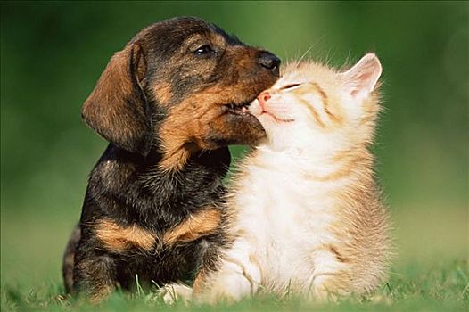 soi cầu bạch thủ lô miền bắc