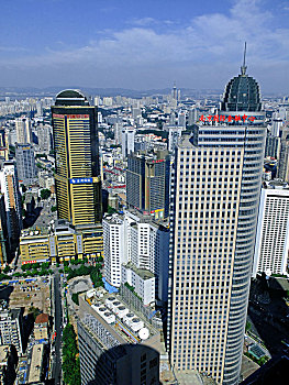 soi cau thudo wap