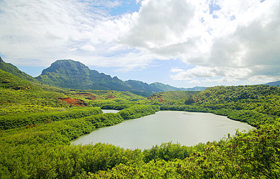 soi cầu lô chính xác 100