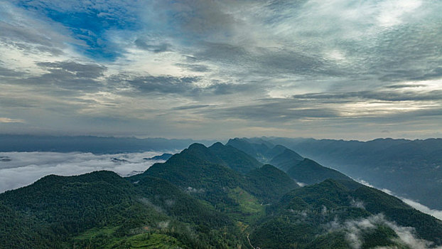soi cau dau duoi