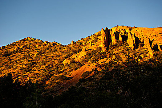 soi cau bach thu de