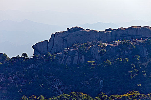 tra cứu xổ số
