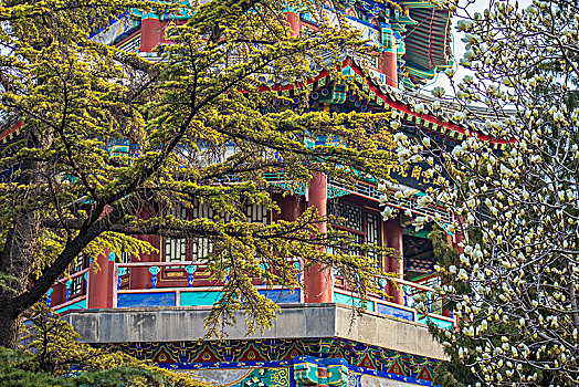 ưin2888