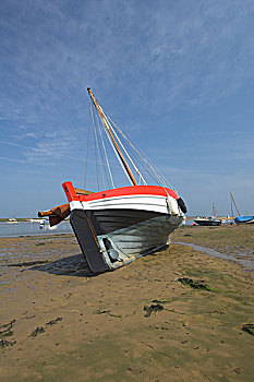 xs vung tau hom nay