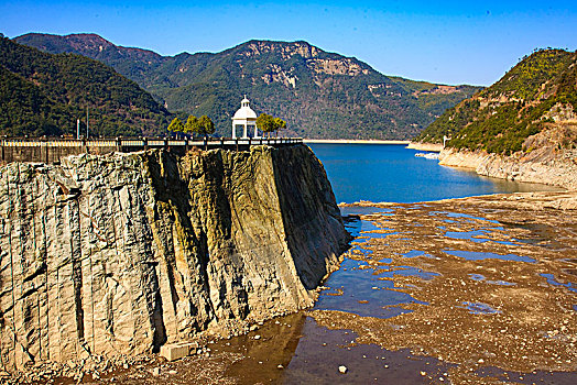 rong bach kim 366