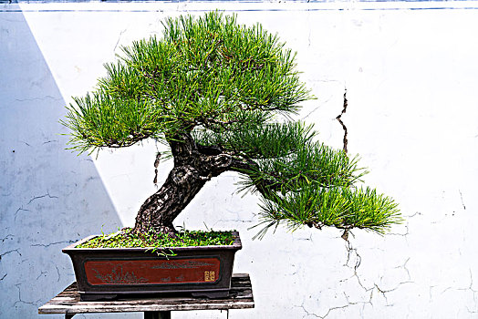 cách đánh đề miền bắc