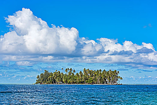 cầu lô miễn phí