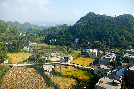 du doan xsmn trung thuong