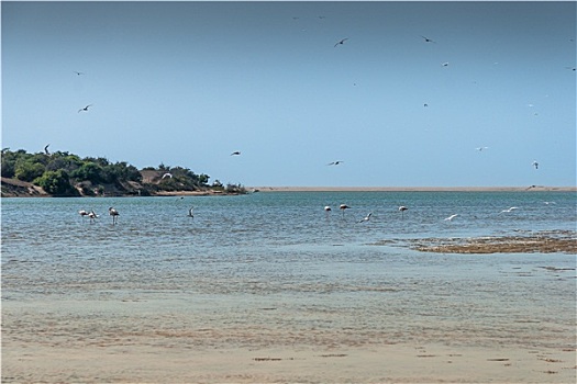 soi cầu 368