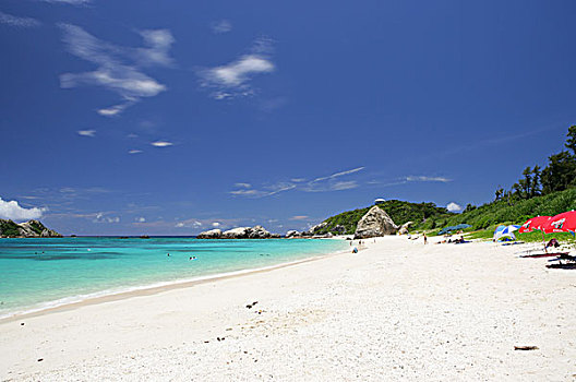 bạch thủ thành phố