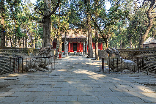 lô bạch thủ là mấy con