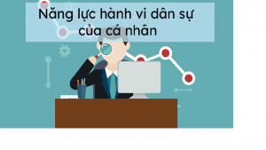 Năng lực hành vi dân sự được hiểu như thế nào? Các trạng thái của năng lực hành vi dân sự gồm những gì? (Hình từ Internet)