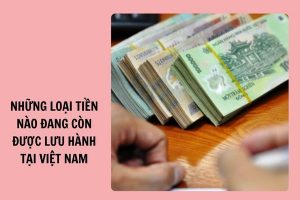 

Những loại tiền nào đang còn được lưu hành tại Việt Nam? (Hình từ Internet)