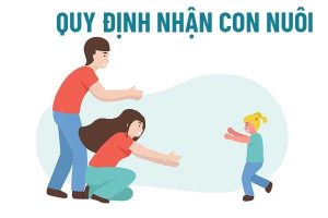 Nhận con nuôi dưới 6 tháng tuổi có được hưởng chế độ thai sản không?(ảnh từ internet)
